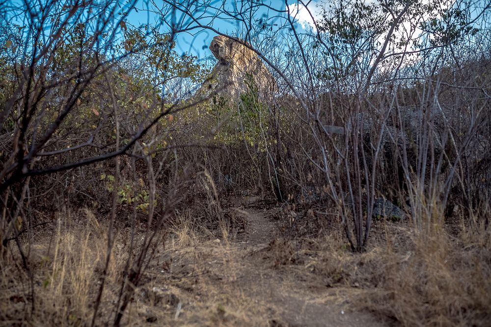 Photograph by Frederico Molini