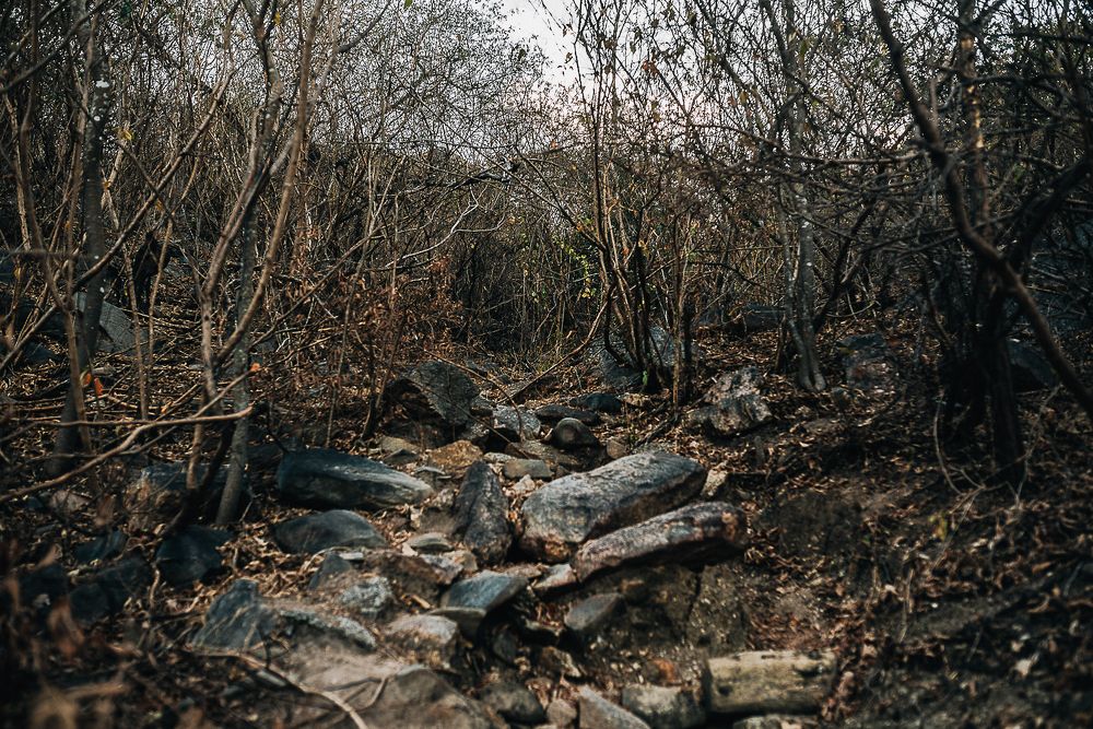 Photograph by Frederico Molini