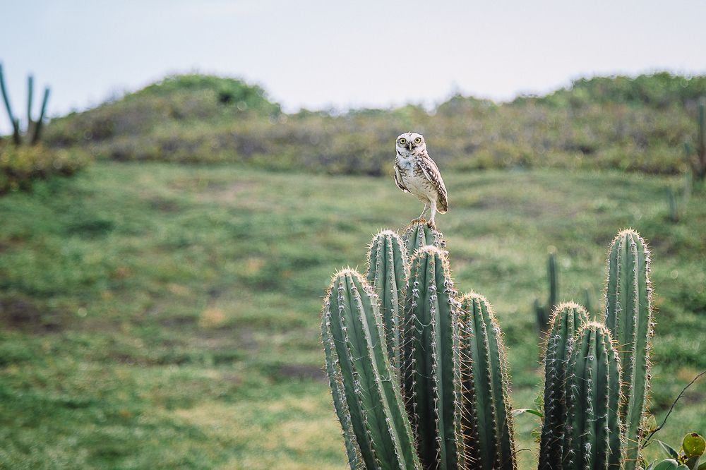 Photograph by Frederico Molini