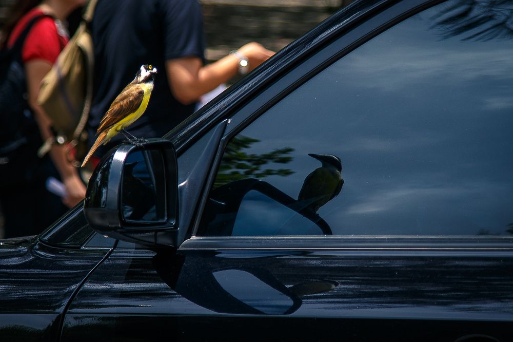 Photograph by Frederico Molini