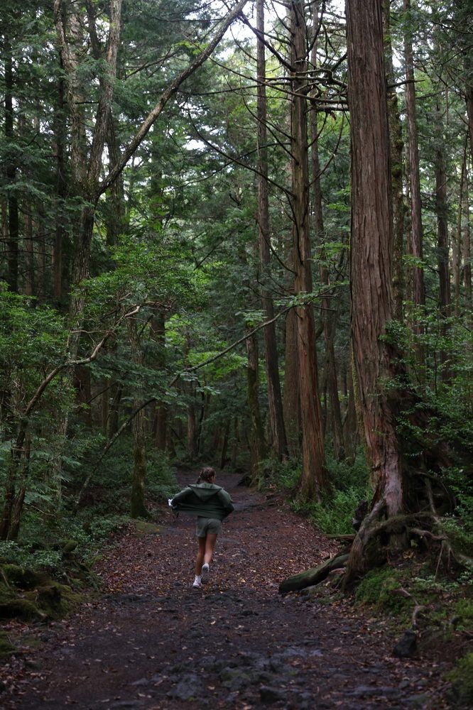 Photograph by Елена Цырюк