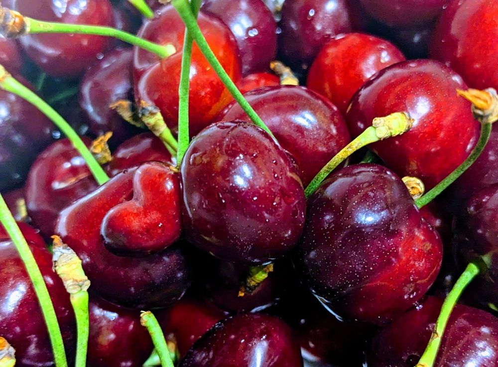 Photograph by Lilit Petrosyan