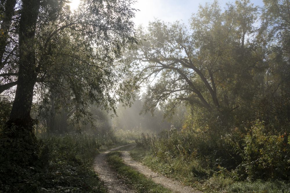 Photograph by Ирина Рыжова