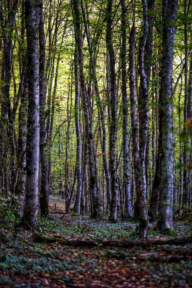 Photograph by Василиса Прекрасная