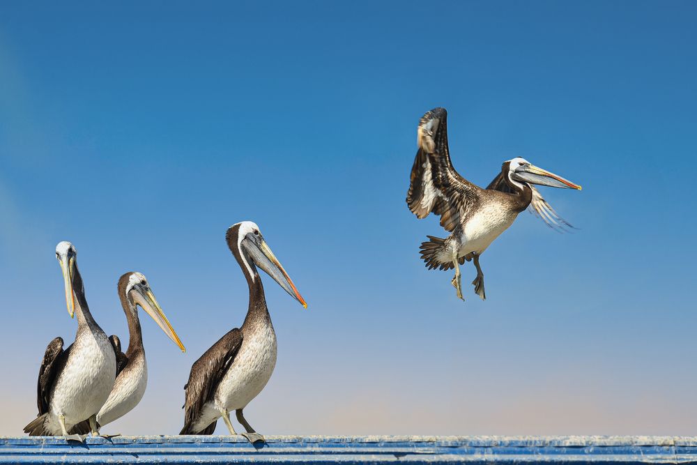 Photograph by NADEZHDA PELYMSKAIA