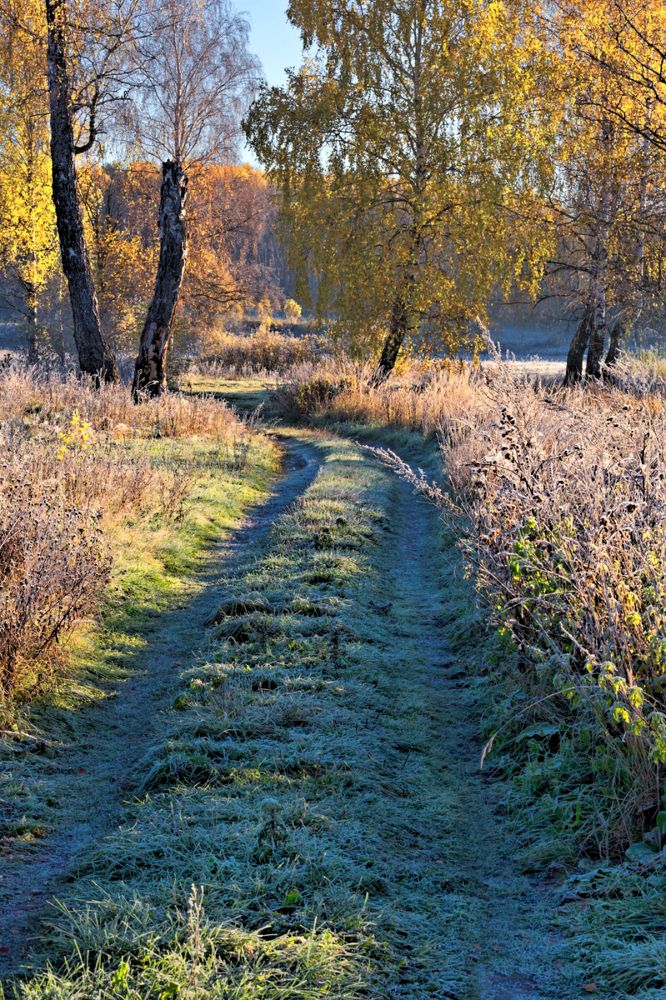 Фотография автора Евгений Ерохин