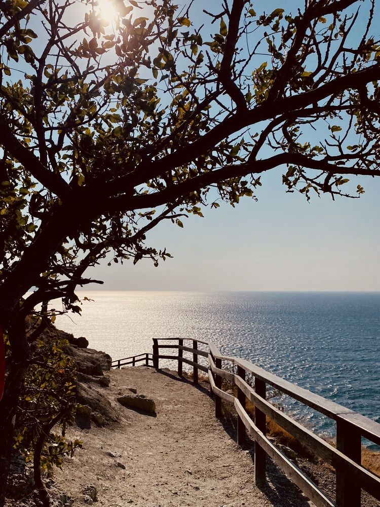 Photograph by Светлана Долганова