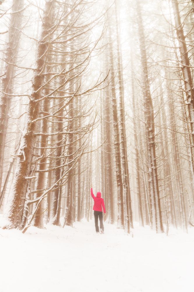 Photograph by Vania Tonova