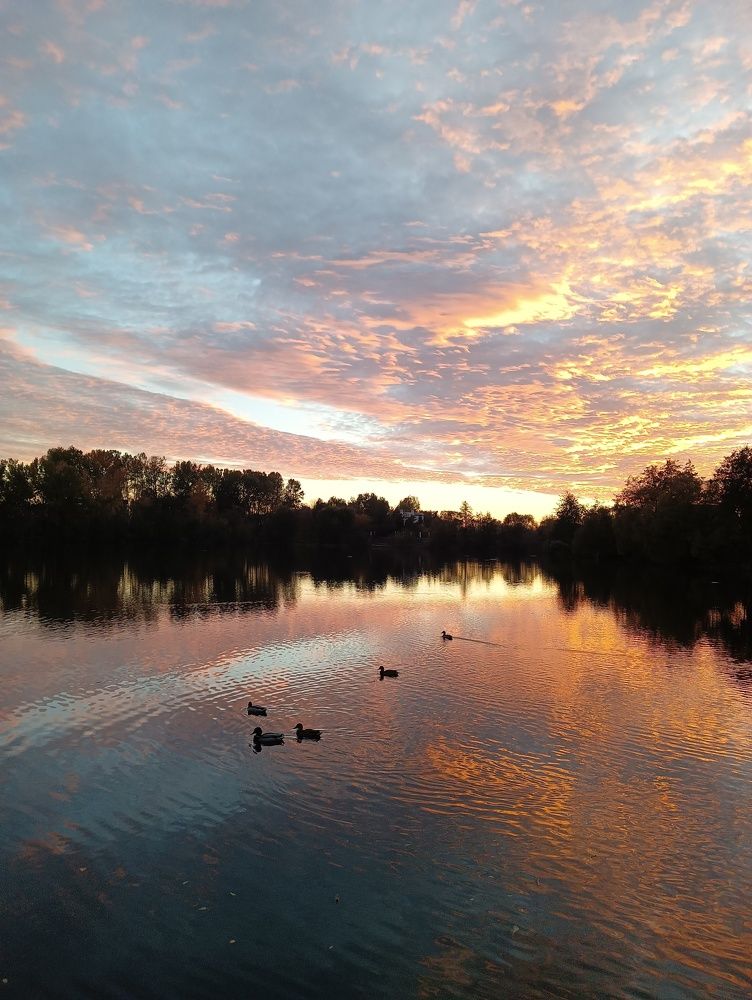 Photograph by Elena Mozhaeva