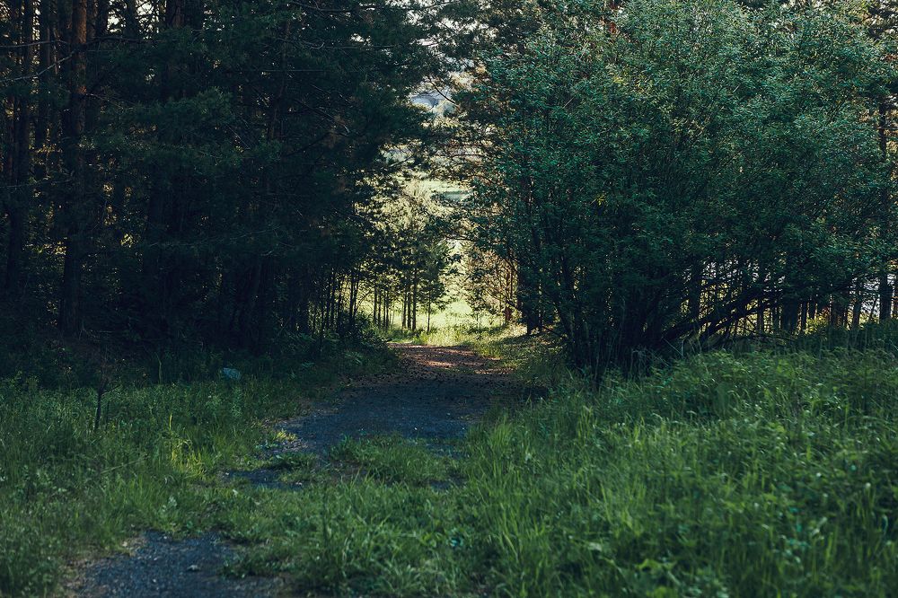 Photograph by Ivan Osipov