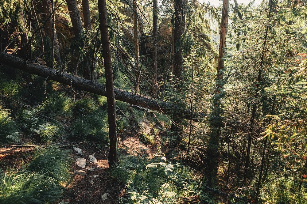 Photograph by Ivan Osipov