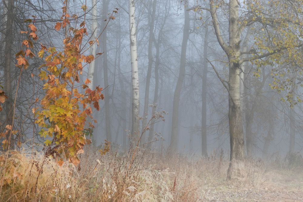 Photograph by Вера Почкалина