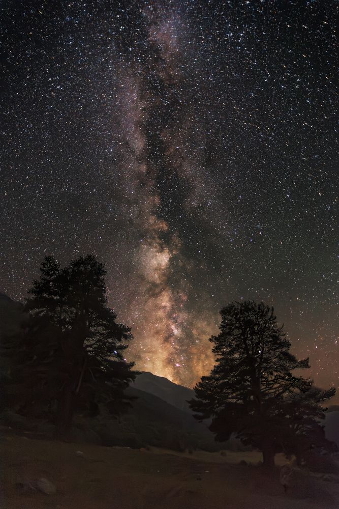 Photograph by Кудашкина Ксения