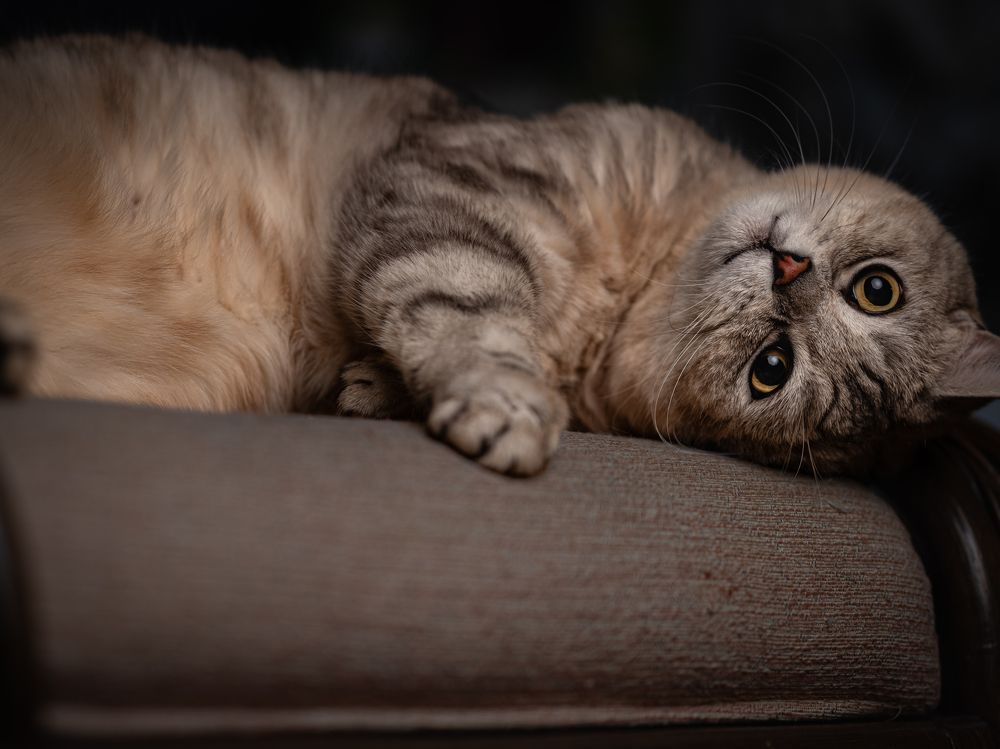 Photograph by Светлана Рубникович