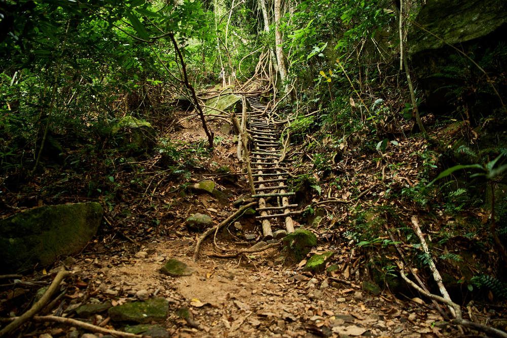 Photograph by Дмитрий Солодухин