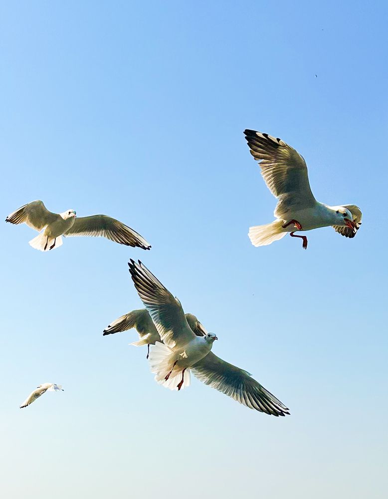 Photograph by Svetlana Tolkunova