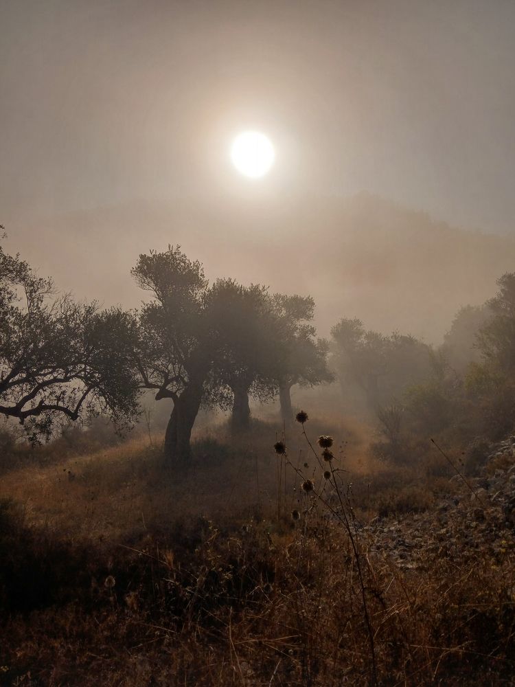 Photograph by Дарья Эпштейн