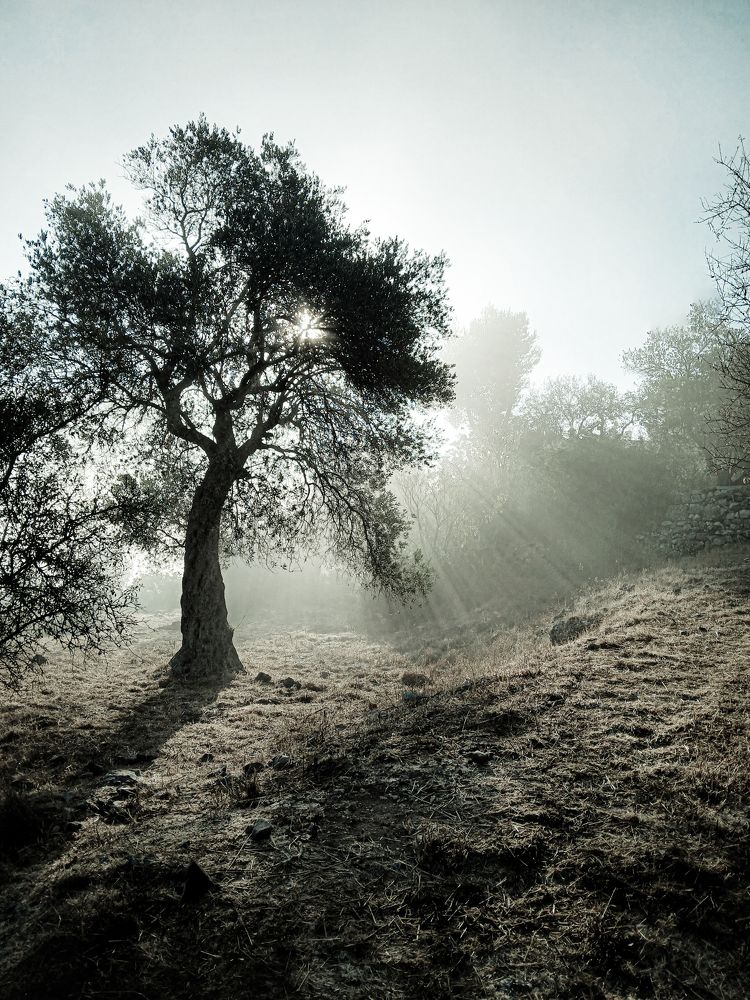 Photograph by Дарья Эпштейн