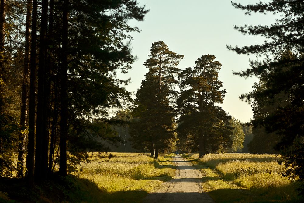 Photograph by Наталья