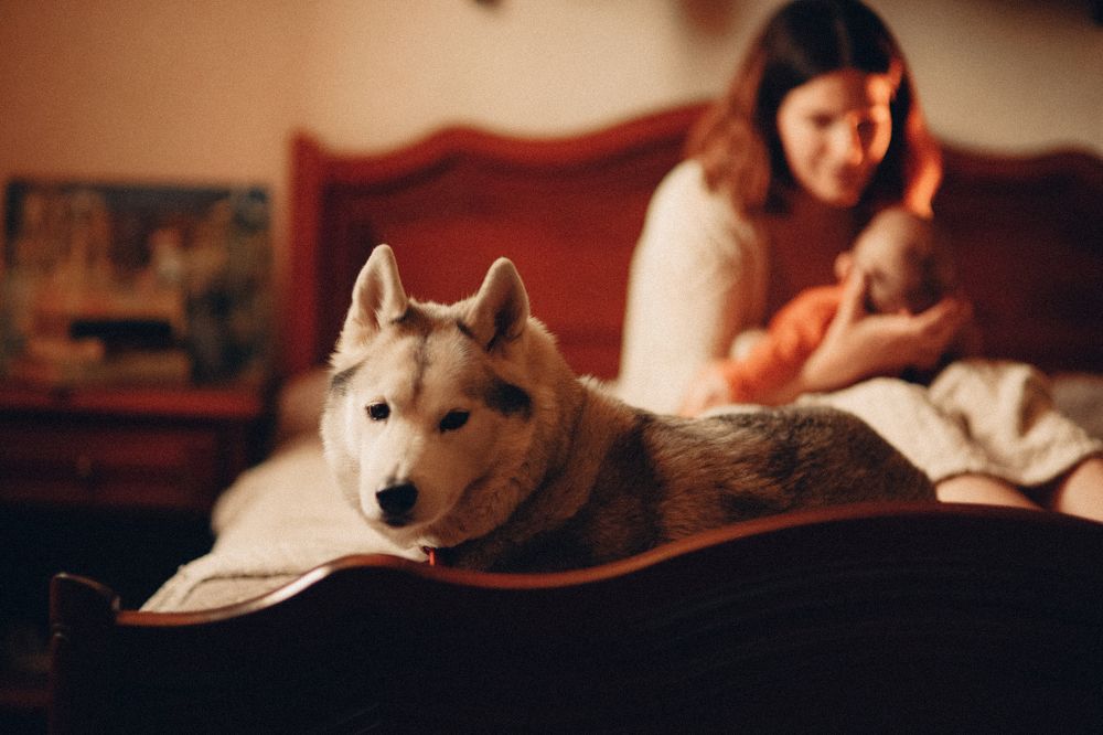 Photograph by Iuliia LIPIAINEN