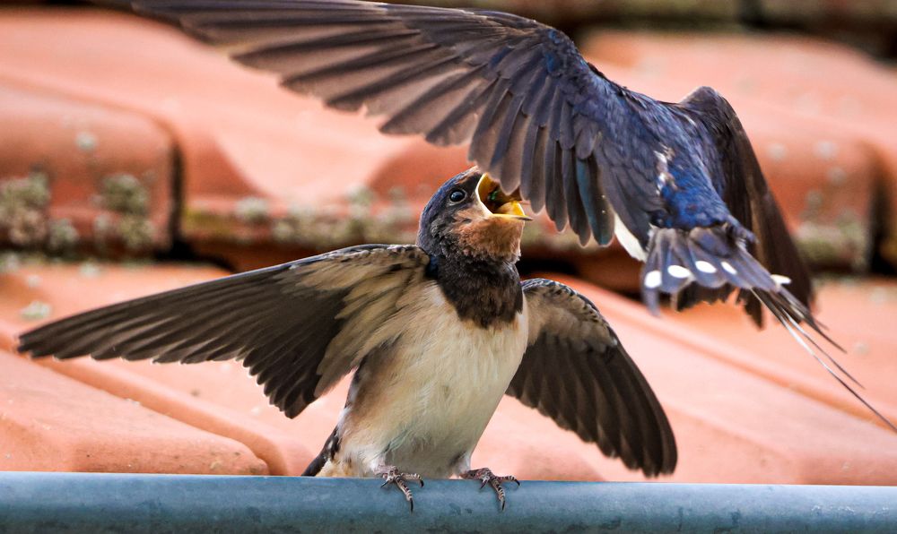 Photograph by Eva Wiedemann