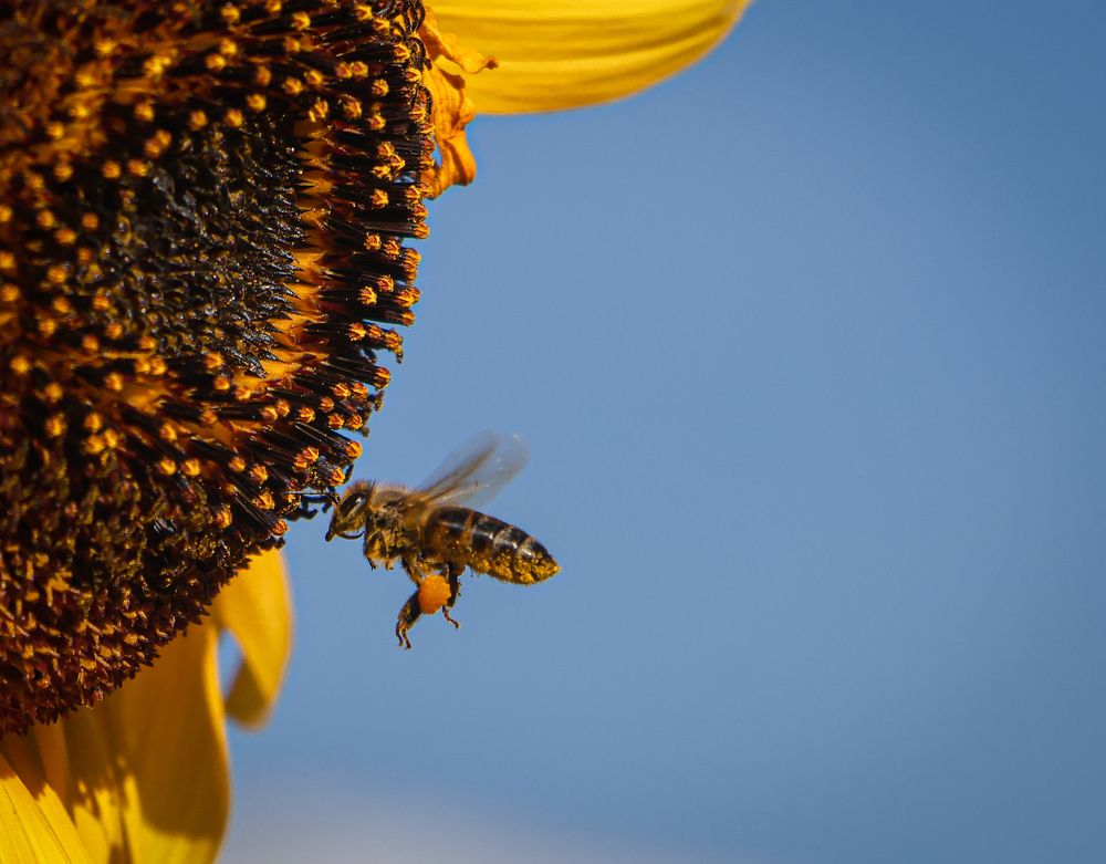 Photograph by Eva Wiedemann