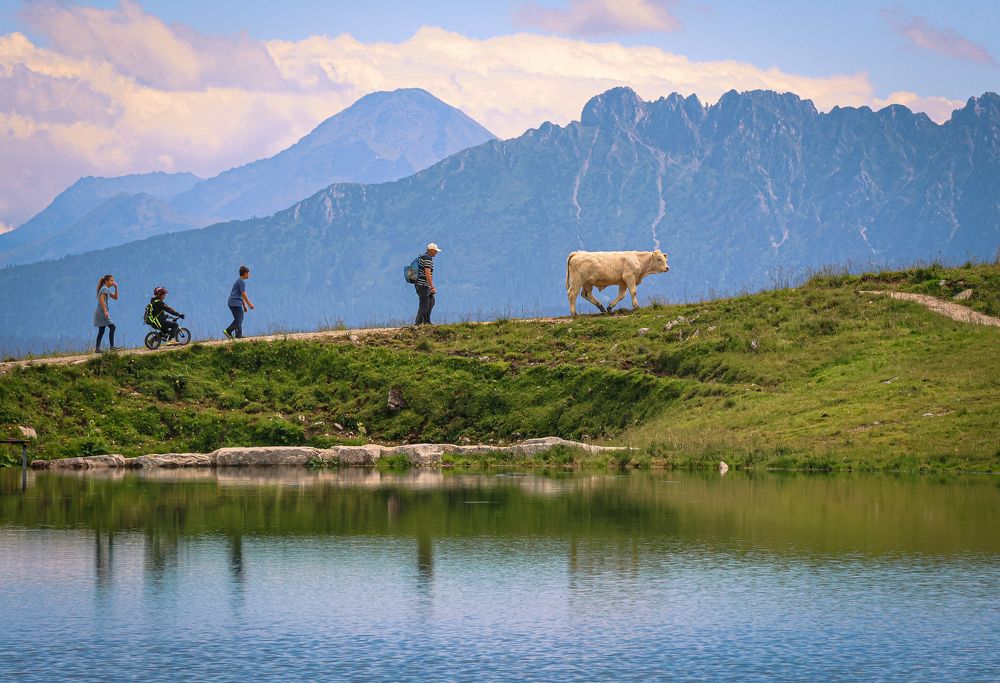 Photograph by Eva Wiedemann