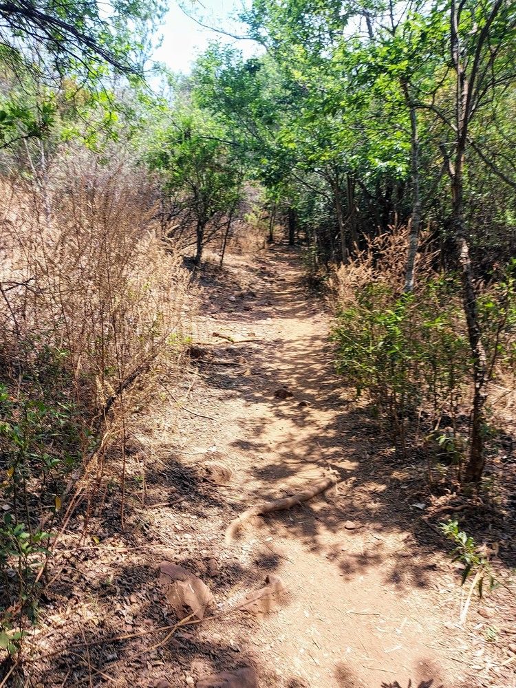 Photograph by Florence Rozario