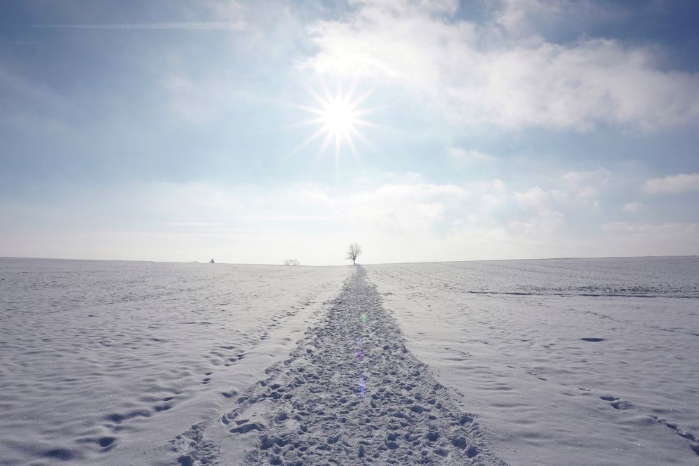 Фотография автора Liudmila Kiermeier