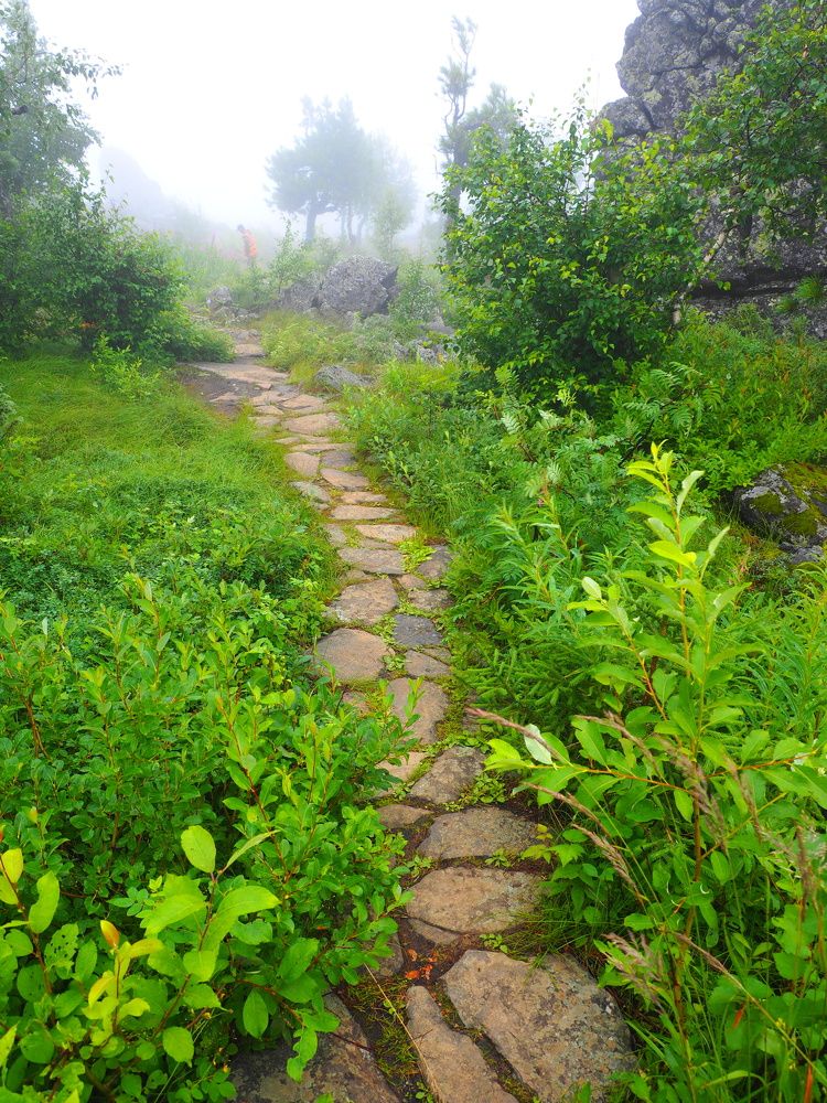 Photograph by PERESHEIN ANDREY