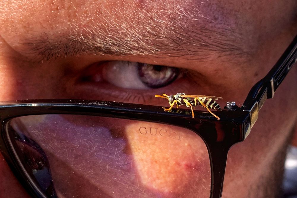 Селфи с осой