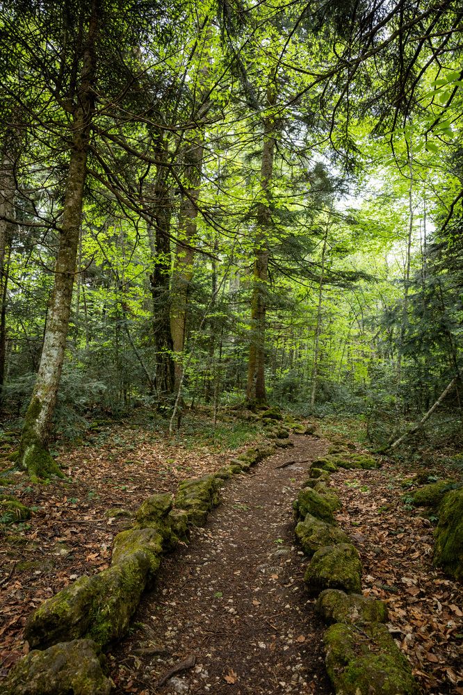 Photograph by Нестеренко Виктория