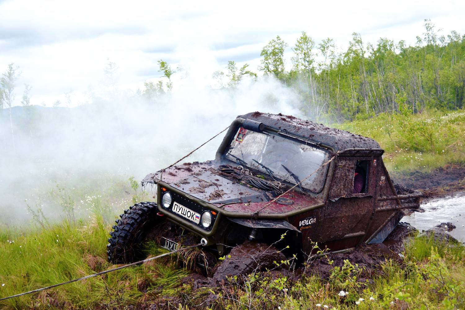 Photo #11242199