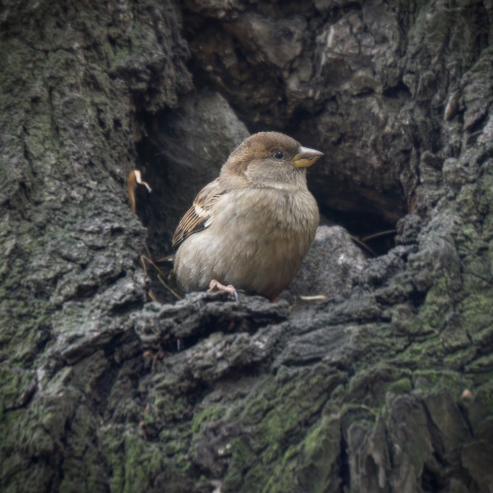 Photograph by Marina Krivitskaya