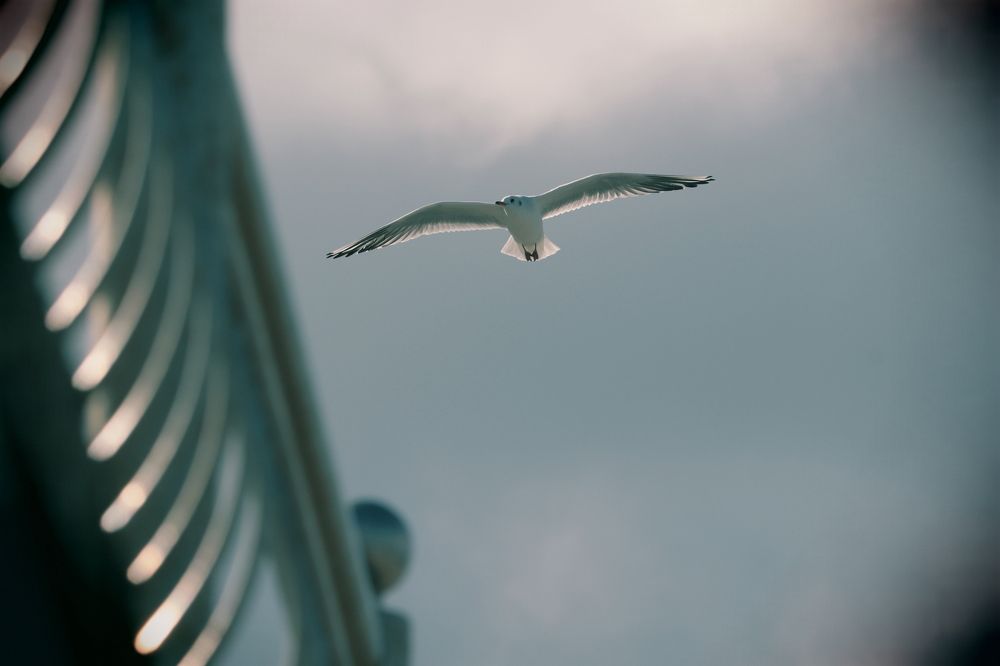 Фотография автора Воронина Татьяна