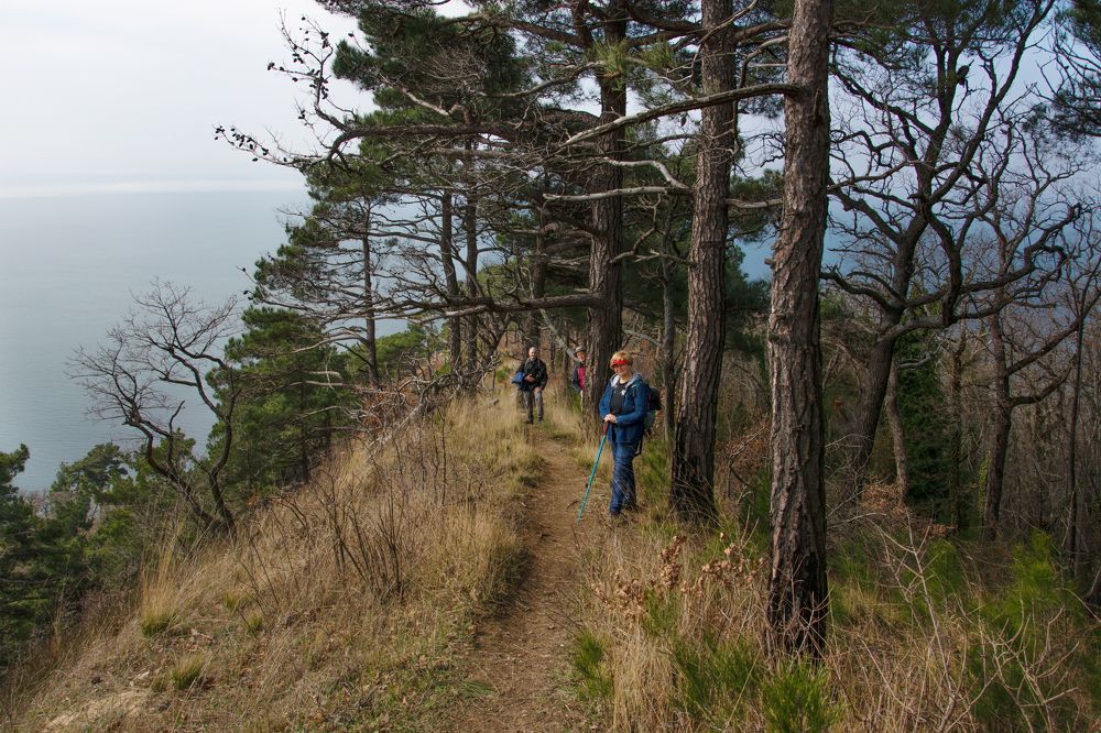 Photograph by Забудская Наталья