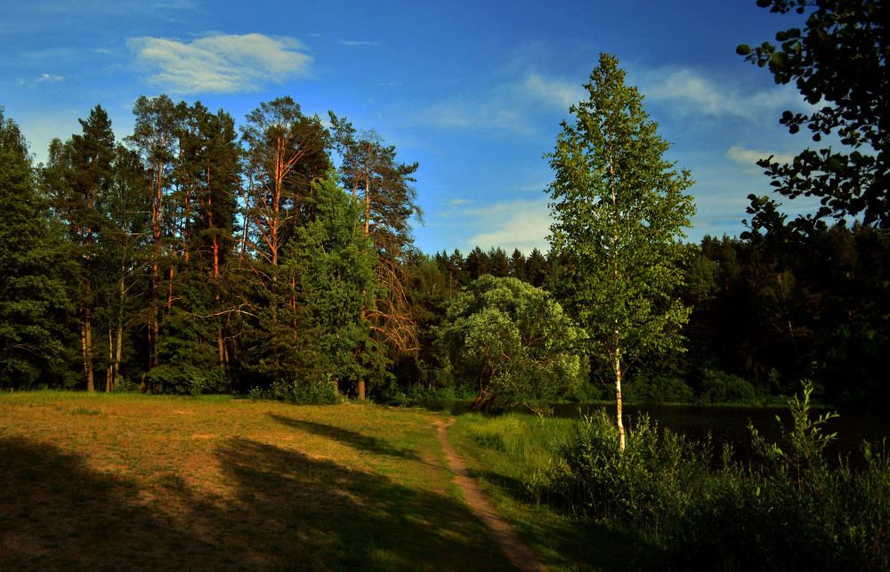 Фотография автора Александр Зарх