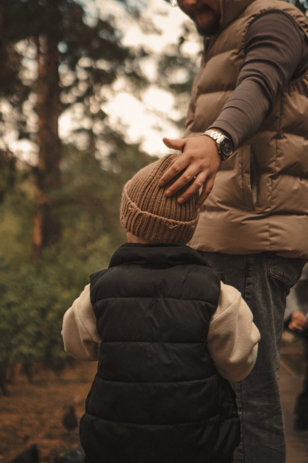 Photo #11242311