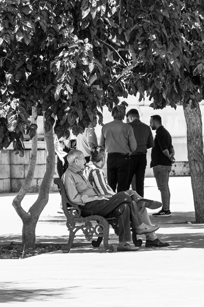 Photograph by Maryam Talepoor