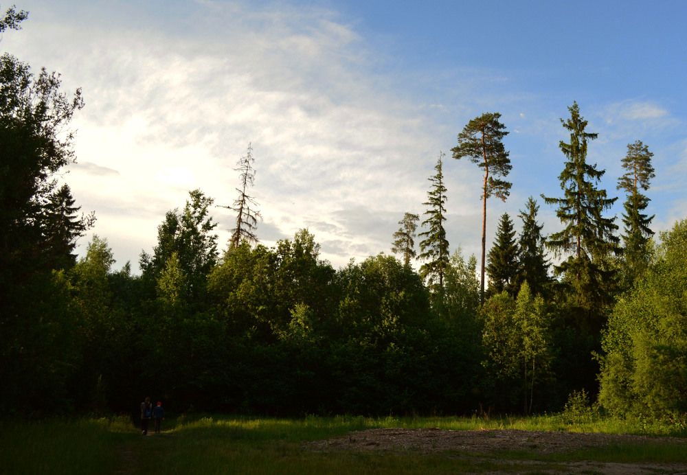 Фотография автора Александр Зарх