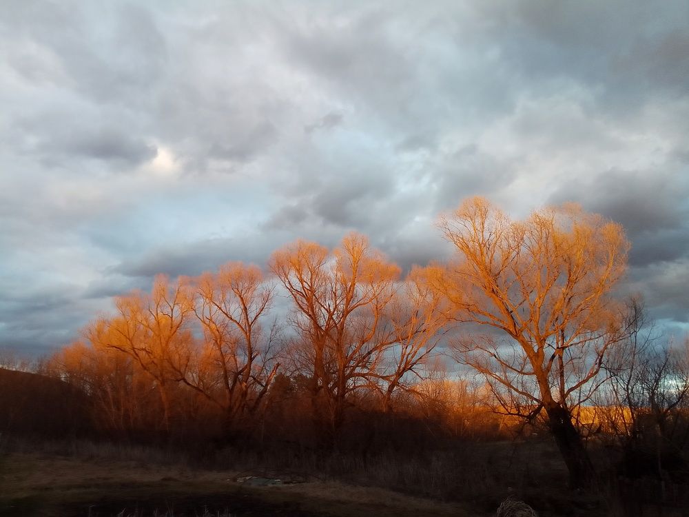 Спасибо, солнце!