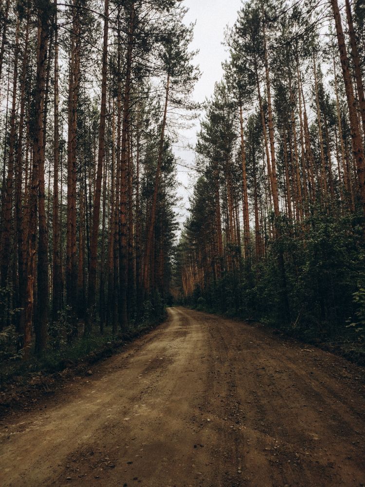 Photograph by Анна Лисина