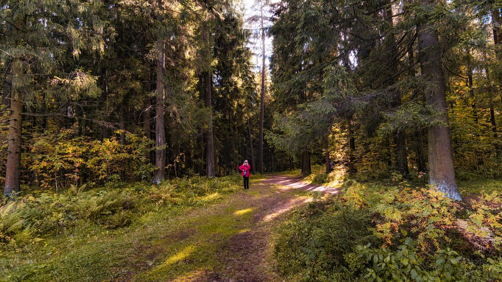 Photograph by Aleksandr Belov