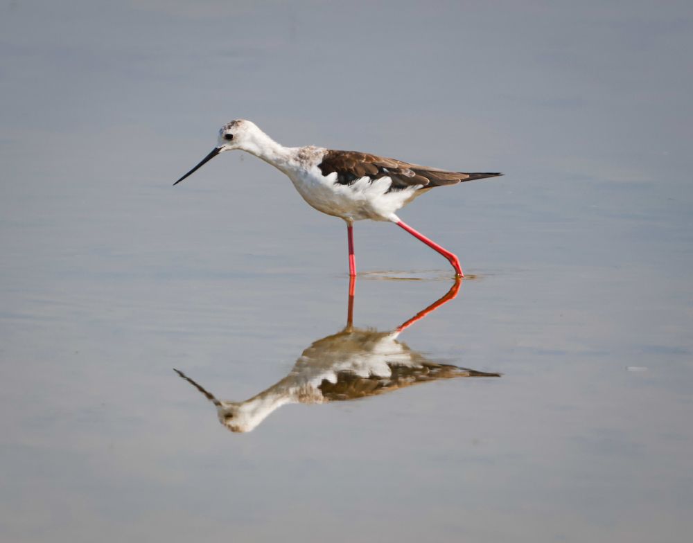 Photograph by Eva Wiedemann