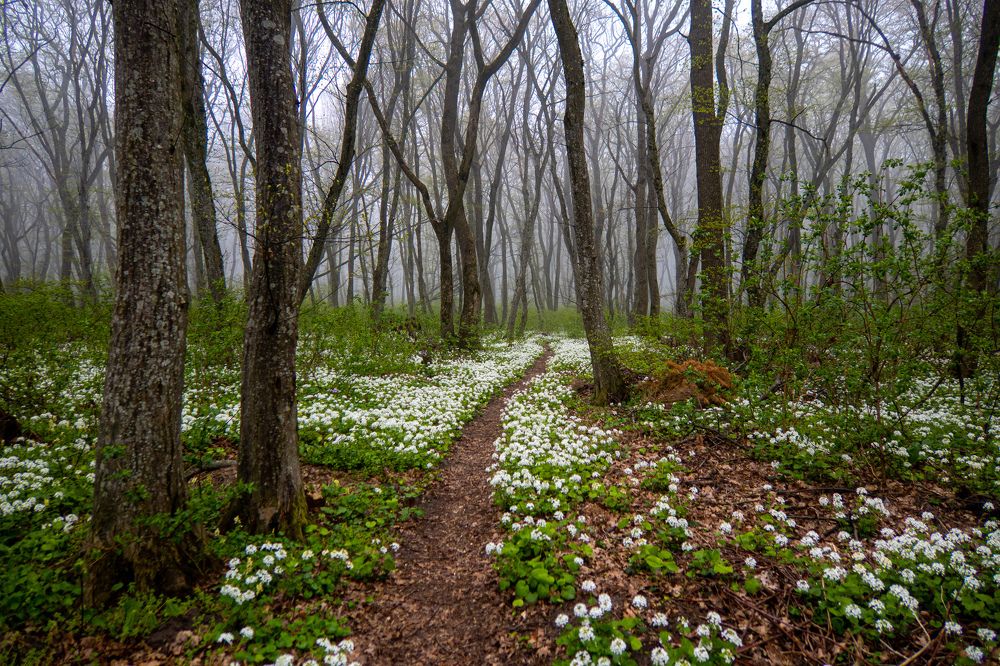 Photograph by Виталий Маслов