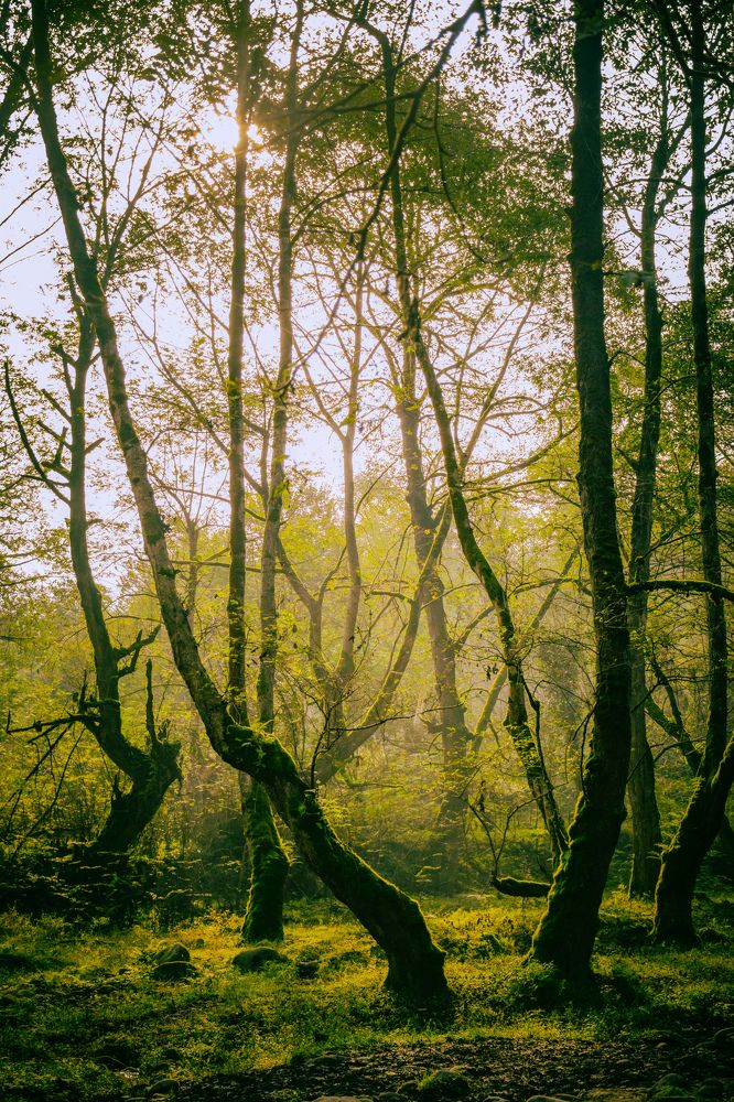 Photograph by Ehsan Fathi