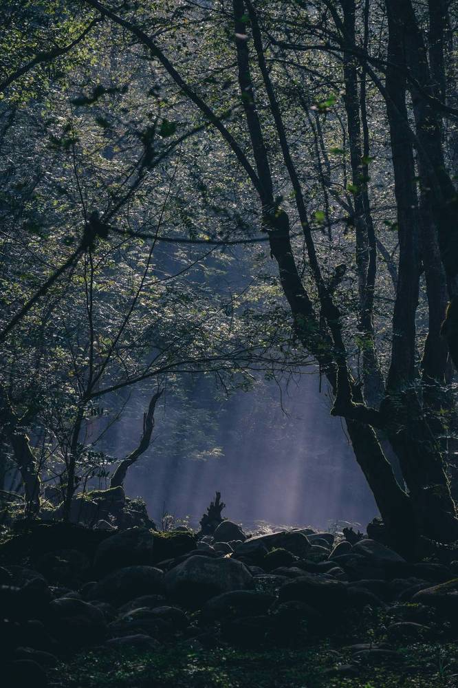 Photograph by Ehsan Fathi