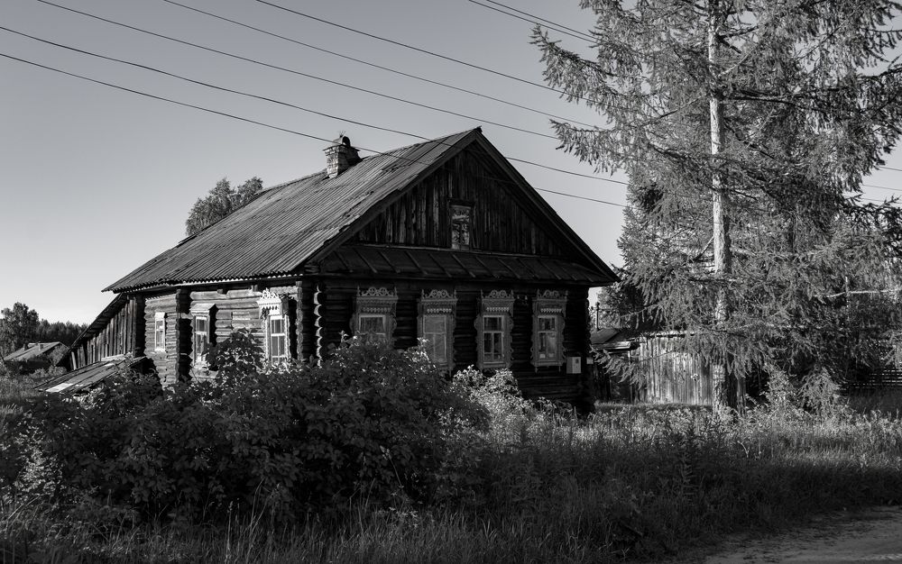 Фотография автора Татьяна