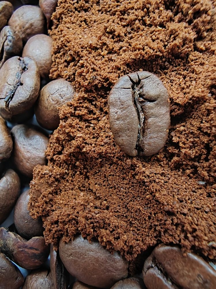 Фотография автора Татьяна Егорова