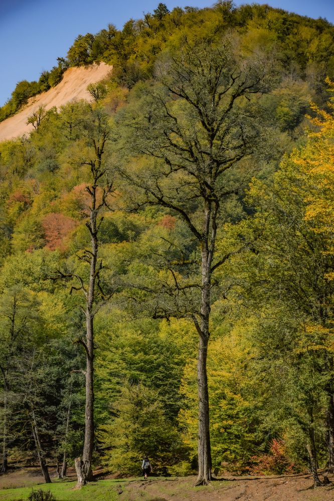 Photograph by Ehsan Fathi